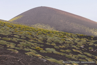 rra delle Concazze-05-08-2014 15-12-31